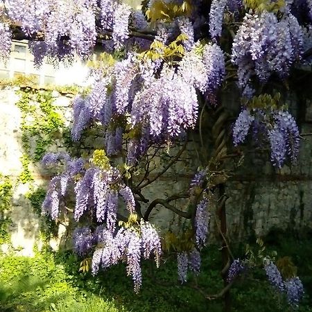 维琴察桂花住宿加早餐旅馆住宿加早餐旅馆 外观 照片